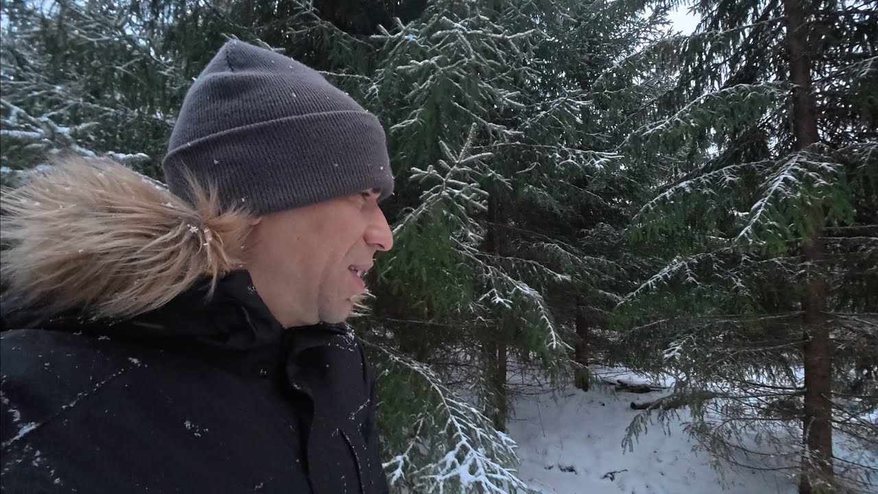 Иду по лесу. Мысли вслух | Тишина