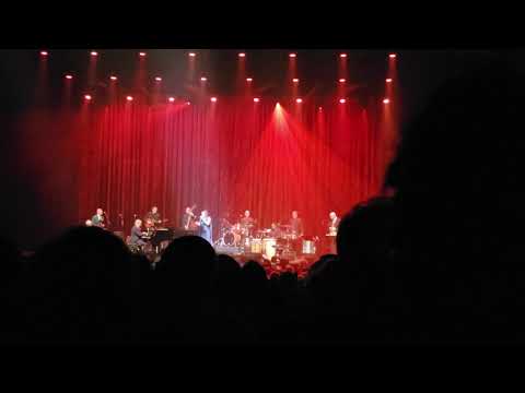 Pink Martini- Lilly