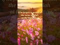 sunnah of the day #2 Deen over duniya #islamic quotes #saveandshare #deen