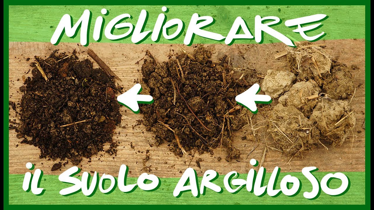 Come MIGLIORARE il Suolo ARGILLOSO ?