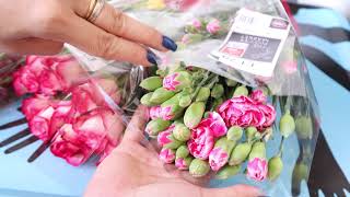 💠Arranging Flowers That I Bought From Lidl