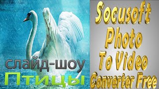Socusoft Photo To Video Converter Free.Видео " Птицы",2560 на 1440. Socusoft Photo To Video Converter Free.Видео " Птицы",2560 на 1440.