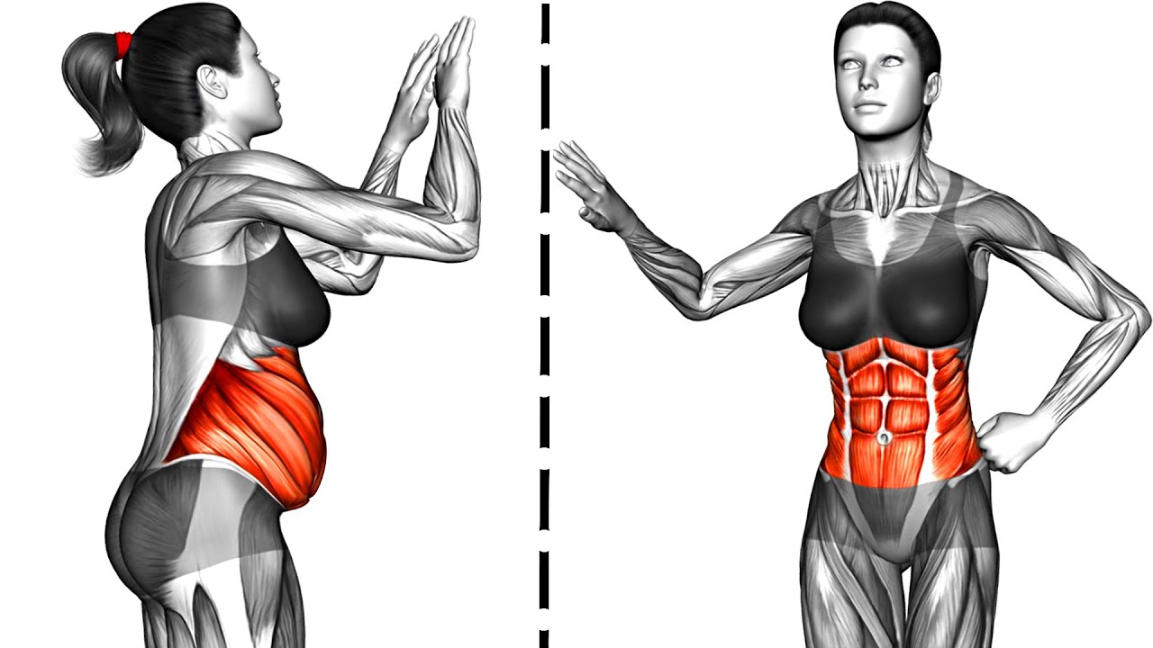 Standing Flabby Stomach Workout 