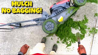 How I fixed my ugly lawn in one week | KRESS Commercial equipment | Simple Lawn Solutions