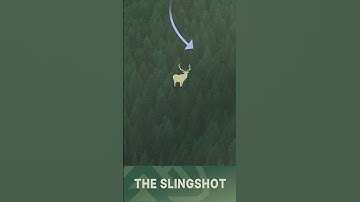 EXPERT elk calling tactics 📣 #shorts #elk