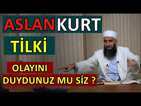 HZ.MEVLANA ASLAN,KURT,TİLKİ OLAYINI DUYDUNUZ MU SİZ ? ADEM BAYRAM HOCAEFENDİ-Mimarsinan İlim hiz Der