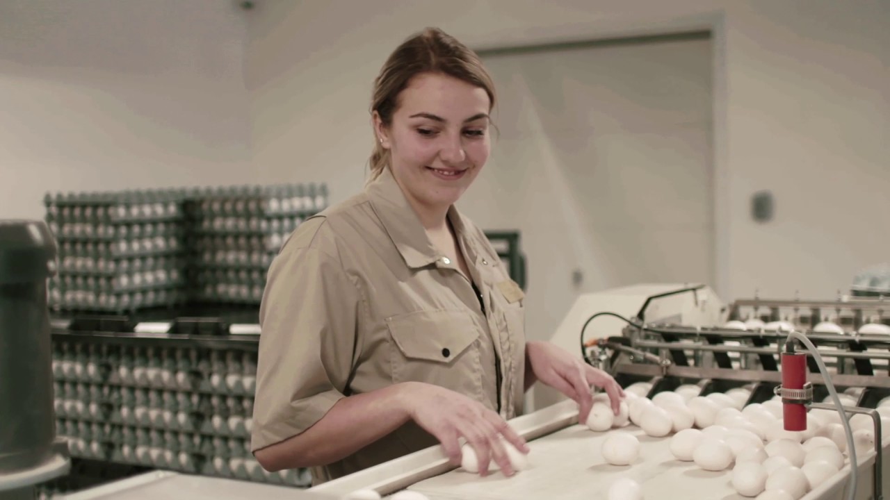 agriculture university Donating Eggs to a Food Centre – #Make150Count