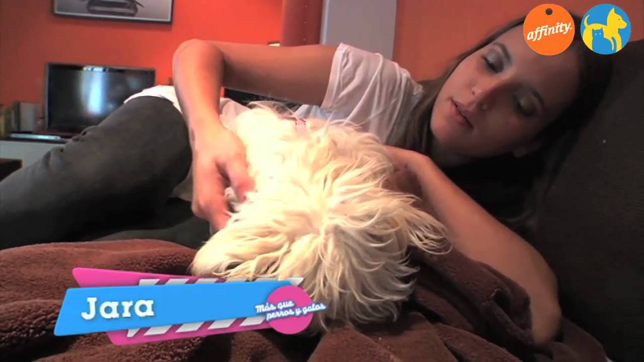 Conocemos a la mascota de... Ana Fernández - Más que perros y gatos 9 | Fundación Affinity