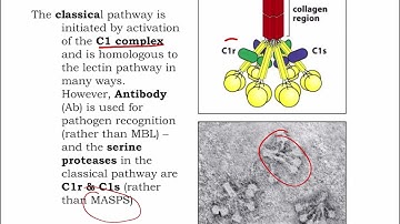 Lecture 3 Complement