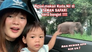 Taman Safari pilihan liburan aman kami selama Covid