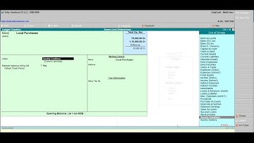 LEDGER CREATION   TALLY