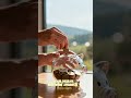 ¿Qué es una Fixed Annuity y por qué Muchas Personas la consideran una Excelente Opcion?
