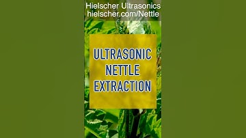 Ultrasonic Batch Extraction of Nettle Leaves - 2000 Watts Probe Sonicator  #extraction