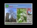 Parque Pignatelli - Especies ornamentales