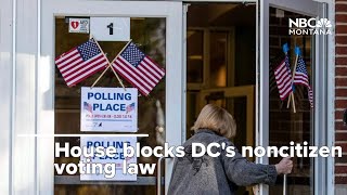 House blocks DC's noncitizen voting law, 52 Democrats side with GOP amid border tensions
