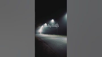 من سورة التوبه الآية رقم ٤٠ تلاوة الشيخ عبدالرحمن مسعد 🤍🫀