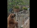 من با بی قراری تمام منتظر روزهای خوب هستم شعر دلنوشته عاشقانه اعظم اردانی من با بی قراری تمام منتظر روزهای خوب هستم شعر دلنوشته عاشقانه اعظم اردانی