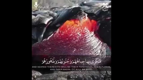 القارئ الشيخ || فارس عباد || يوم تحمى عليها في نار جهنم