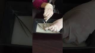 Famous frog dissection part 2... #biology #frog Profile