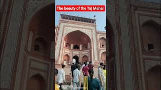 The Beauty Of The Taj Mahal Aagra Taj Mahal With Vloggerahsankhan