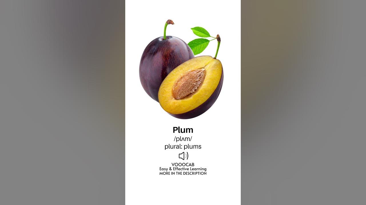 Plum Pronunciation, English Transcription, Plural Form YouTube