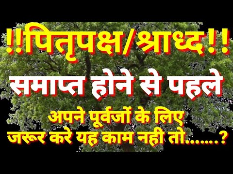 पितृ पक्ष समाप्त होने से पहले अपने पूर्वजों के लिए जरूर करे यह काम नही तो 