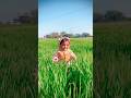 Cute kuku #cutebaby #youtubeshorts #trending #love #baby #shorts #subscribe #creator #follow