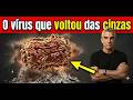MPOX 2026 O Que Fazer AGORA Para Não Pegar 