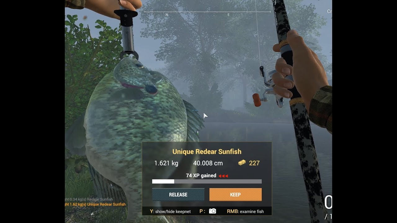 Fishing Planet How To Catch Unique Redear Sunfish At Neherrin River