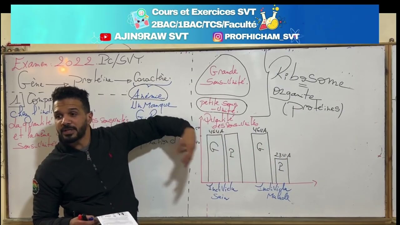 Génétique 🧬 préparation contrôle correction examen 2022 PC/SVT
