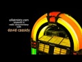 David Cassidy On Tour with Elliot Mintz, A Radio Documentary