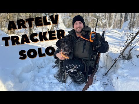 ARTELV TRACKER SOLO. Теперь моя собака НЕ ПОТЕРЯЕТСЯ в ТАЙГЕ. Проверка на дальность. Снимаем капканы