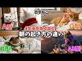 【血液型別】モーニングルーティン、朝の起き方の違い🐱☀️【四季ねこ】