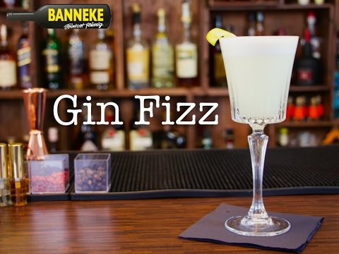 Gin Fizz - Gin Cocktail selber mixen - Schüttelschule by Banneke