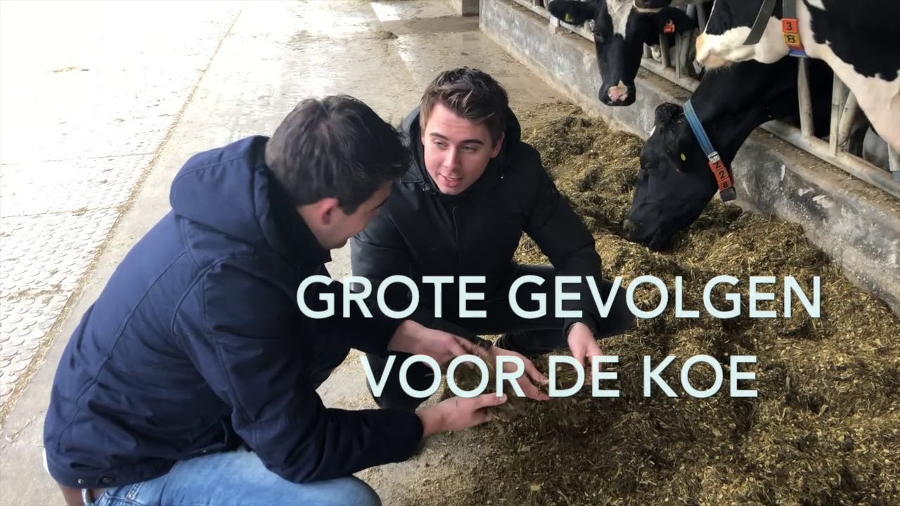 Water toevoegen in de voermengwagen - Feed Solution