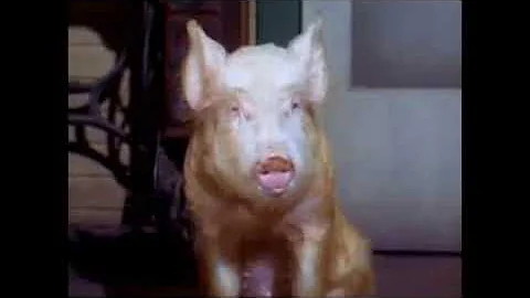 Arnold and Cynthia's Forbidden Love