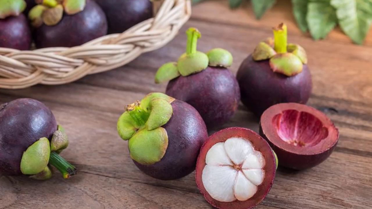 PSA Mangosteen Video YouTube