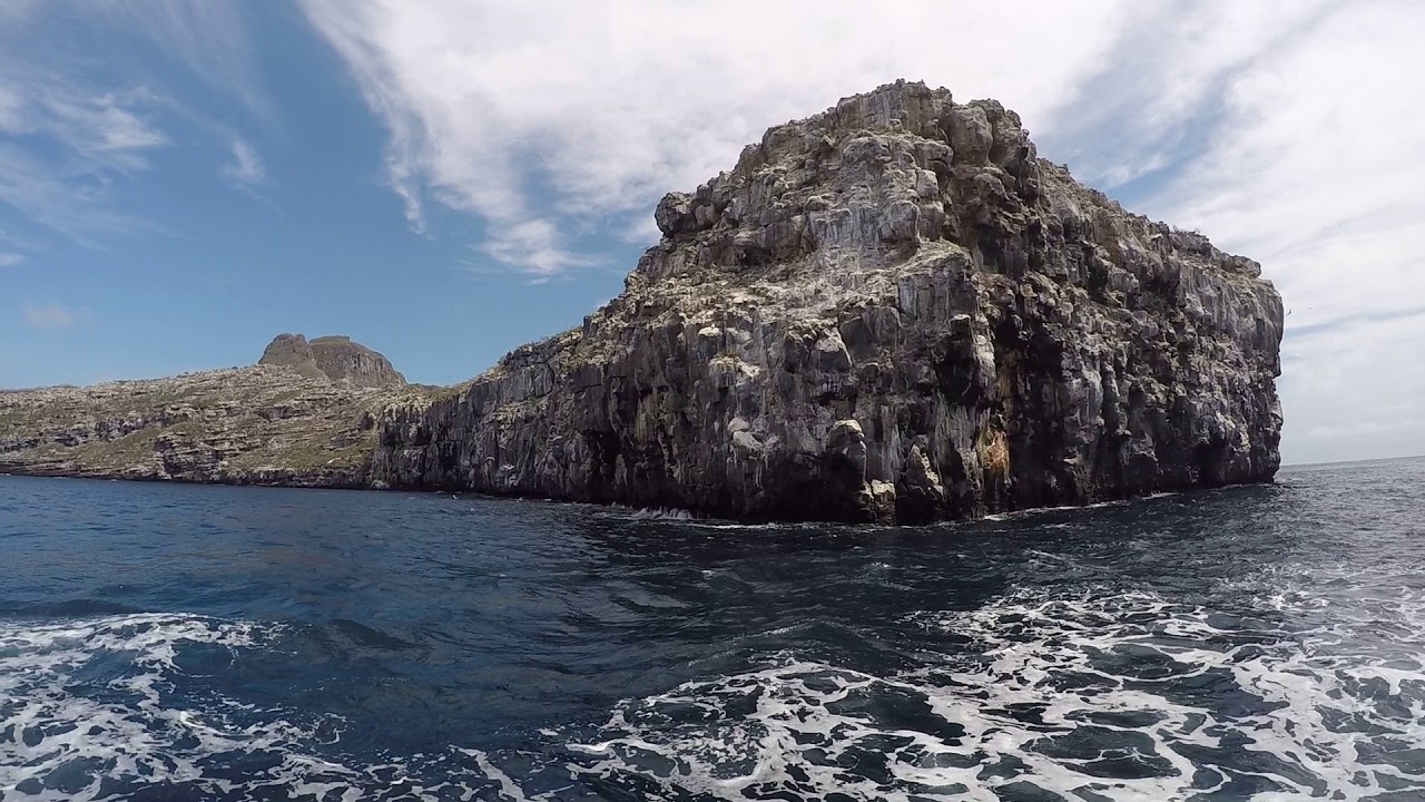 GOPR3936 Wolf Island YouTube