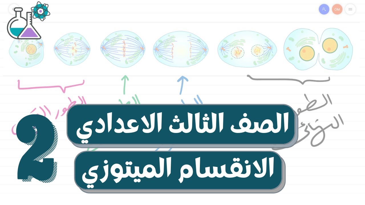 الانقسام الخلوي | الانقسام الميتوزي | علوم الصف الثالث الاعدادي الترم الاول