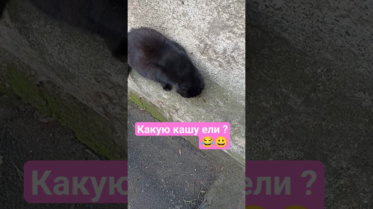 Что по каше?😊