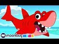Morphle em Português | super tubarão bebê | Desenhos Portugues | Desenhos para Crianças