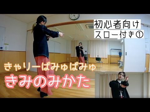 きみのみかた きゃりーぱみゅぱみゅ【1/2】