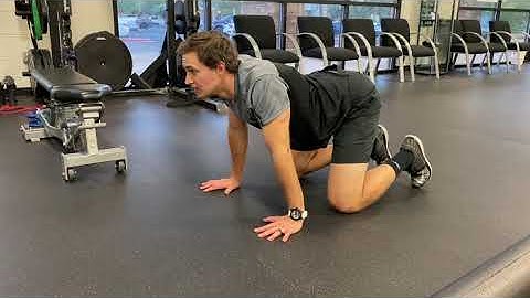 Quadruped Shoulder Rolls and Spinal Extension & Flexion