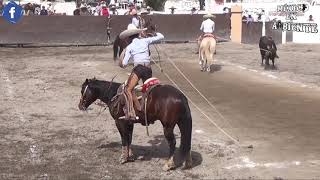 JINETEO DE TORO Y TERNAS - FINAL PROGRESO, HIDALGO 2020