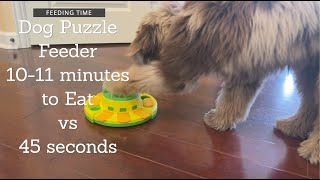 REVIEW Dog Food Puzzle - Slow Feeder and IQ Trainer