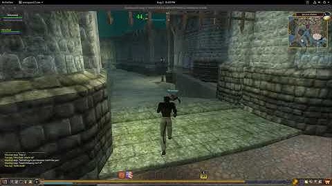 Testing Grouping, Following, and Chatting in EQ2EMu