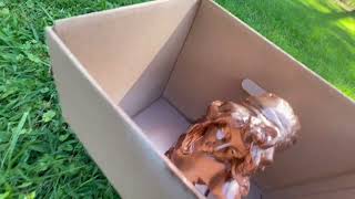DIY Painting a Lady Head Bust statue