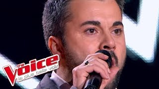 The Voice 2013 | Alexandre Chassagnac - Nessun dorma (Giacomo Puccini) | Blind Audition