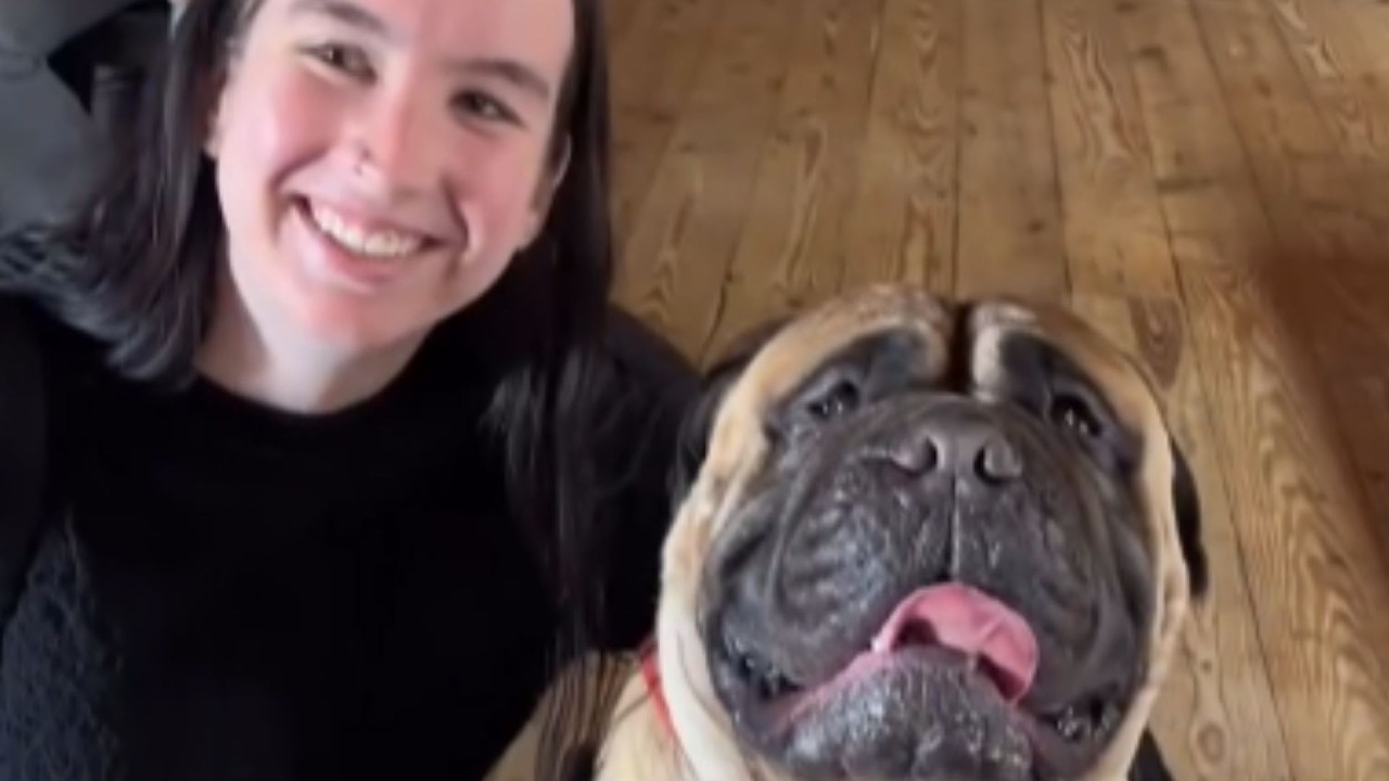 В тот момент, когда она сказала «да» этому 77-килограммовому бульмастифу, он больше никогда не от...