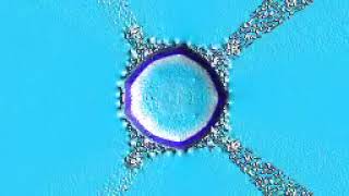 Nova C Morph power -10 to 10